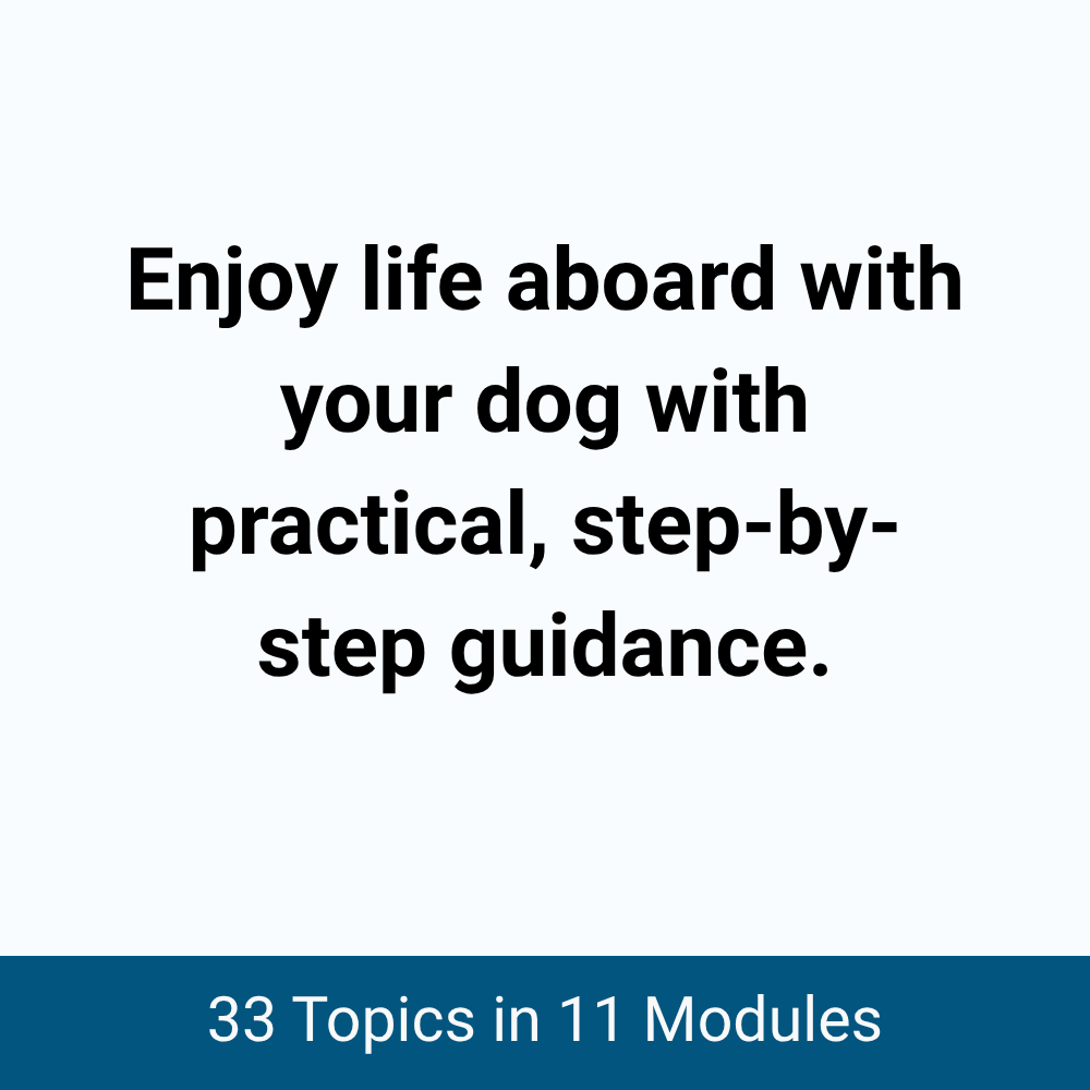 Boating With Your Dog: Training, Safety, and Life Aboard