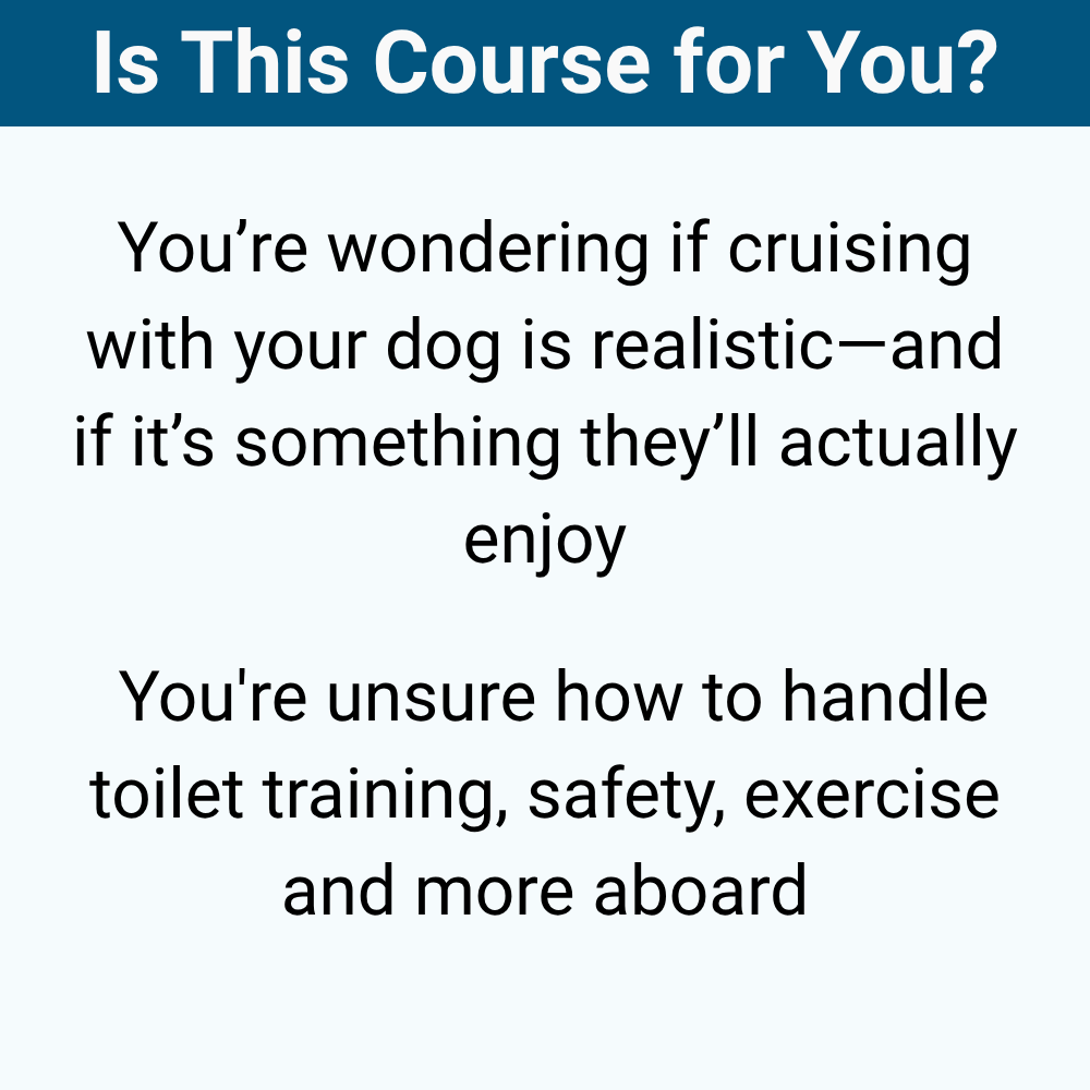 Boating With Your Dog: Training, Safety, and Life Aboard
