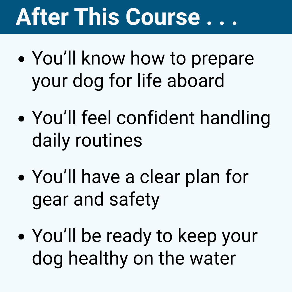 Boating With Your Dog: Training, Safety, and Life Aboard