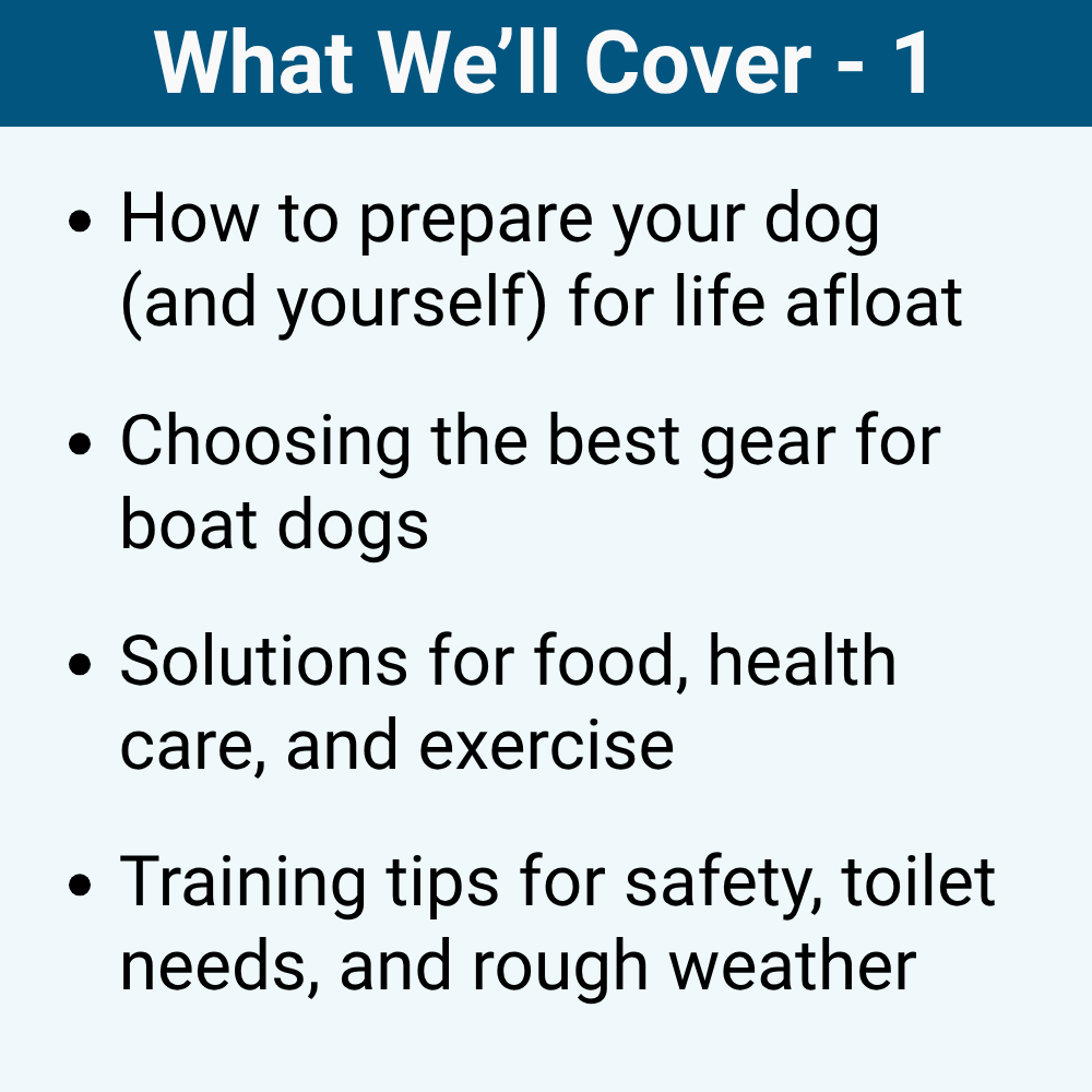 Boating With Your Dog: Training, Safety, and Life Aboard