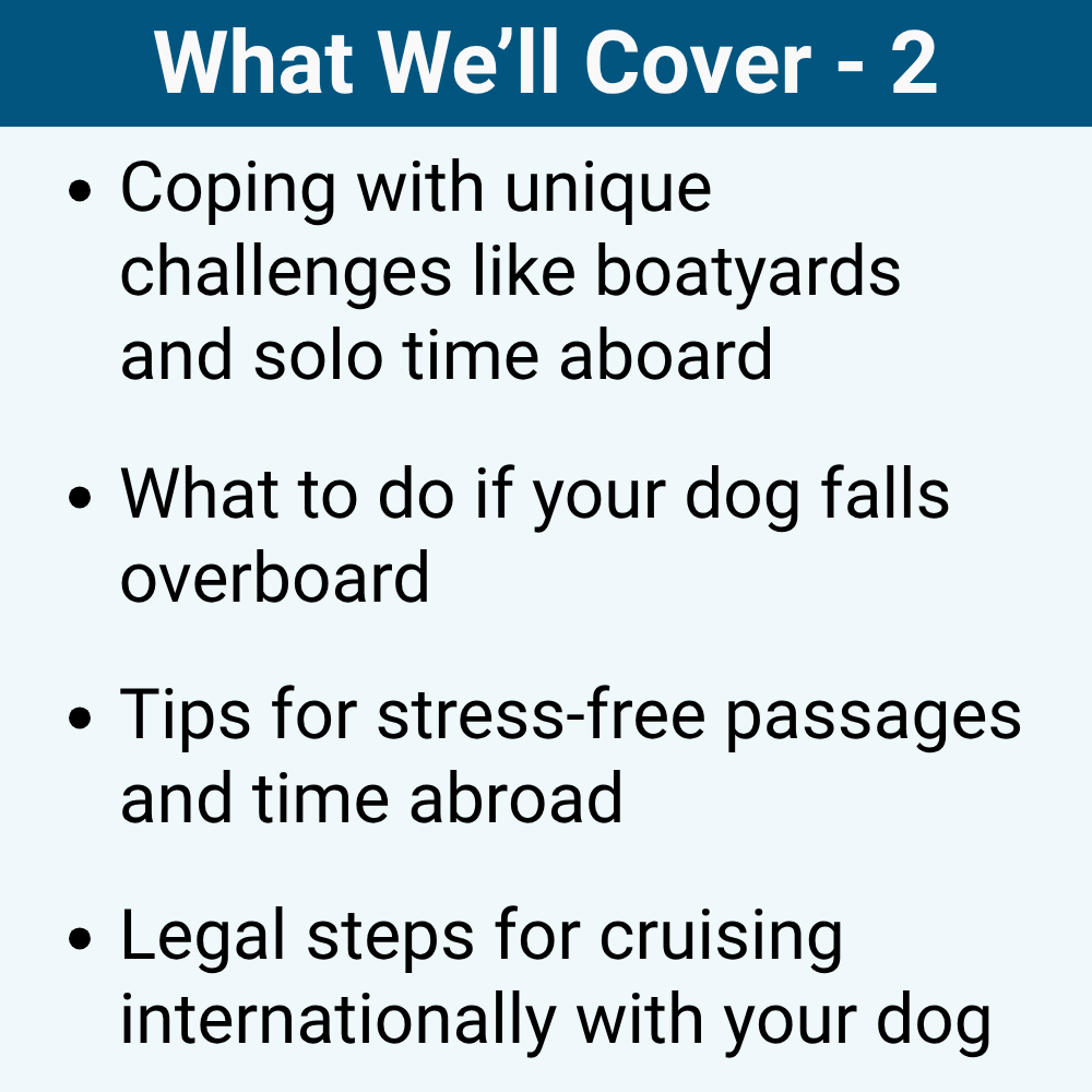 Boating With Your Dog: Training, Safety, and Life Aboard