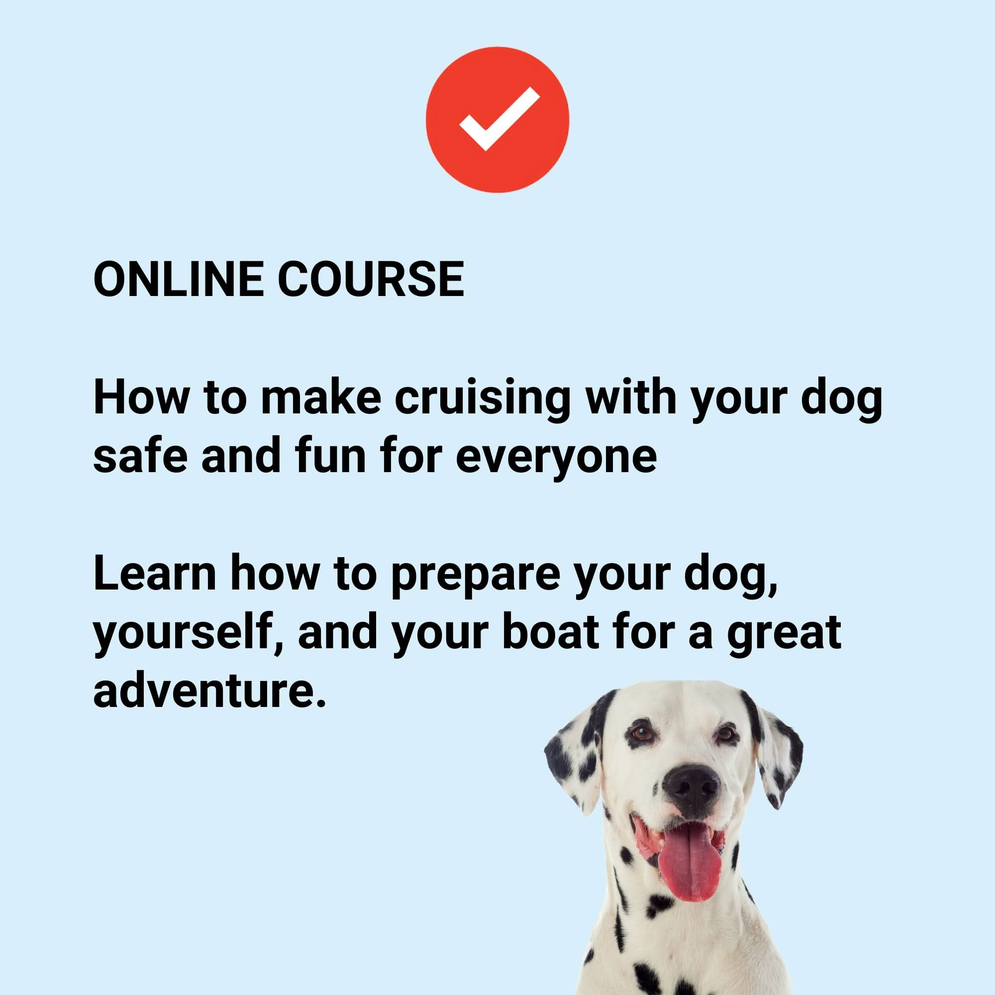 Boating With Your Dog: Training, Safety, and Life Aboard