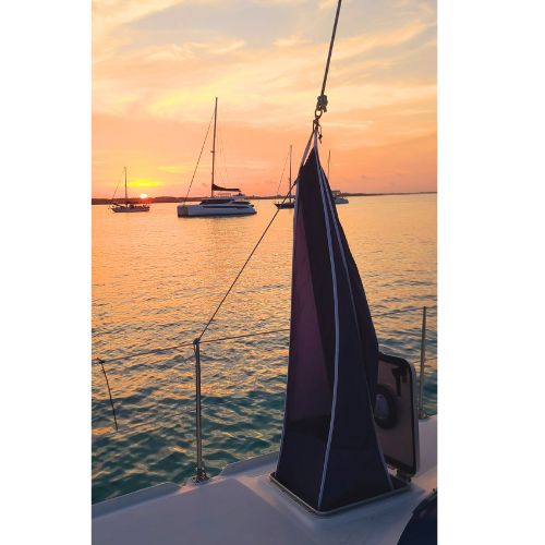 Breeze Bandit 4-Way Wind Scoop