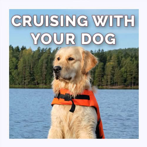 Comprehensive guide to boating with your dog, with tips on training, safety, and creating a happy life aboard for you and your pet.