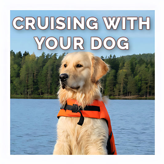 Boating with your dog course: training, safety, and tips for a happy life aboard.
